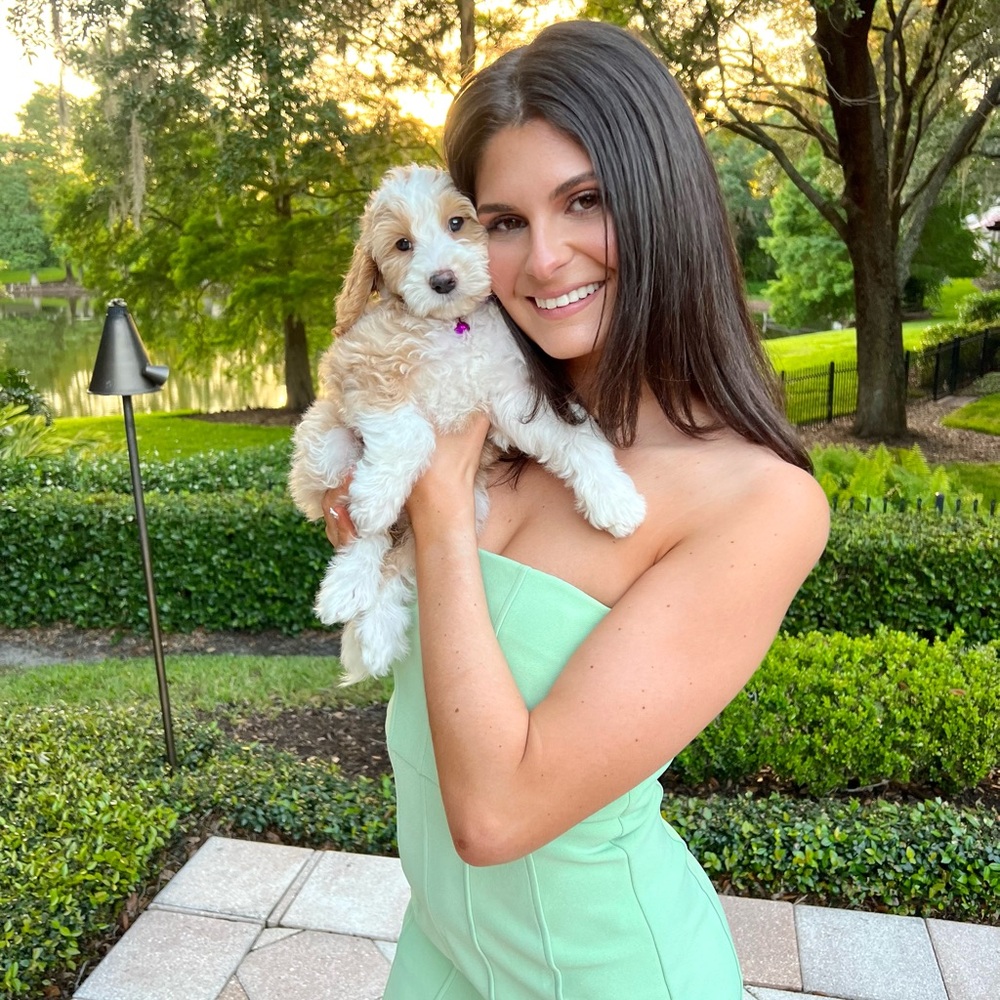 Meet your Posher, Demi